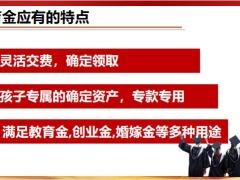 新华人寿荣耀终身寿险产品特点21页.pptx