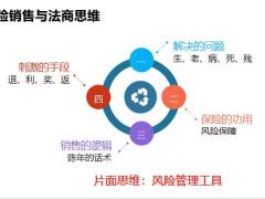 法商及其必要性四大类别五大风险法律优势新华人寿荣耀终身版44页.pptx