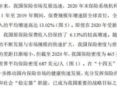 2022中国保险代理人洞察报告46页.pdf