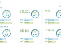 新华人寿2021年年度报告295页.pdf