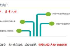 大客户开拓的关键点销售逻辑展示78页.pptx