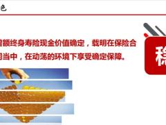 百年鑫爱人生产品形态介绍案例卖法解析24页.pptx