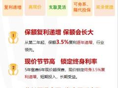 利安人寿鑫利来产品展业手册19页.pptx