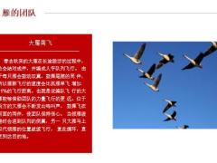 团队与激励督导激励的意义如何有效激励团队26页.pptx
