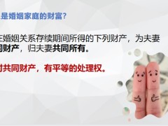 婚姻家庭的财富概述与财富规划22页.pptx