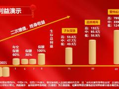 新华惠金享客户画像大众客户高净值客户销售场景34页.pptx