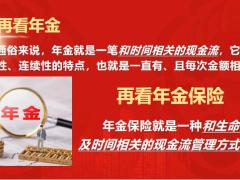 新华惠金享年金保险背景回首规划2023年版63页.pptx