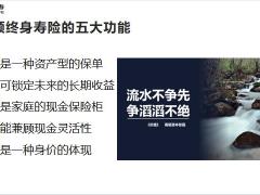 国寿乐盈一生尊享版配置增额终身寿险特点销售逻辑客户画像坚持促成33页.pptx
