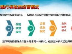 保险培训银保行业概述介绍发展策略49页.pptx