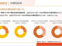 当前国内家庭婚姻情况导致的原因以及对应画像销售逻辑及话术33页.pptx