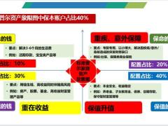 长寿时代的养老现状压力风险如何养老14页.pptx