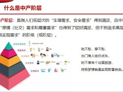 中国中产阶层财富管理现状投资动向解析53页.pptx