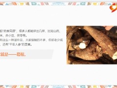 每日健康葛根是天然补药降三高排肝毒护血管12页.pptx