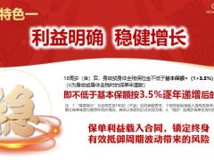 新华鑫荣耀增额终身寿险特点特色十大优势举例说明22页.pptx