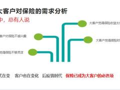 银行保险大客户开拓的重要性需求分析保险作用专业规划19页.pptx