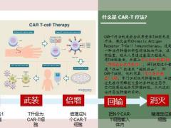 新华高端医疗计划百万CarT产品介绍39页.pptx