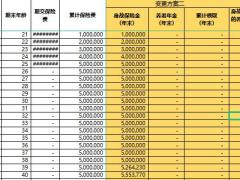 恒大北极星养老年金自动建议书.xlsx