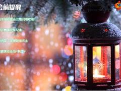 圣诞节圣诞树圣诞窗早会流程10页.pptx