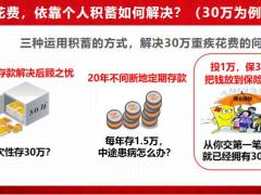 中国人寿爱意康悦产品组合案例演示13页.pptx