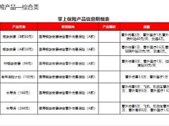 中国人寿掌上保险产品信息明细表综合类9页.pptx