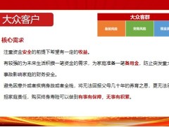 新华鑫荣耀终身寿险客群分析销售逻辑22页.pptx