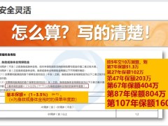 新华选择荣耀终身寿的三个理由15页.pptx