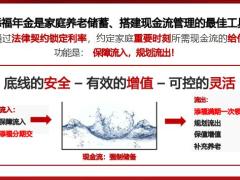 2023泰康开门红尊赢庆典版账户启示案例演示25页.pptx