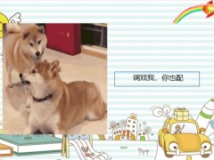 每日快乐早会22年12月12日使用12页.pptx