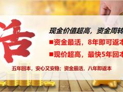 挪储抢购会三年期产品对接中国人寿鑫享未来版21页.pptx