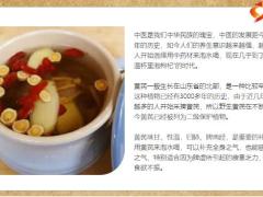 每日健康经常喝黄芪水的人为何会变瘦11页.pptx