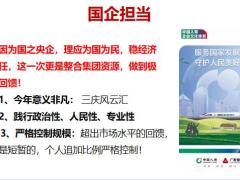 国寿鑫瑞稳赢年金保险四大亮点案例演示22页.pptx
