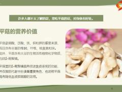每日健康常吃平菇越吃越健康可惜知道的人不多10页.pptx