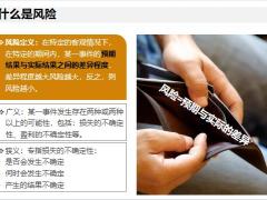 风险与风险控制保险合同基本原则五大共同条款46页.pptx