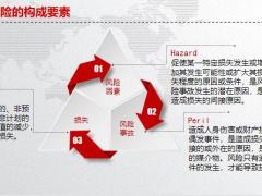 保险新人考前保险基础辅导风险保险合同原则含备注136页.pptx