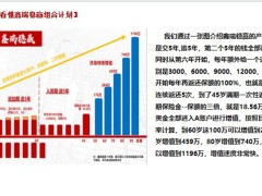 国寿甄选鑫瑞稳赢组合计划A账户画图营销逻辑12页.pptx