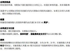 太平附加爱多多两全保险条款9页.pdf
