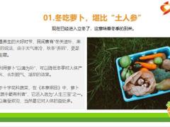 每日健康冬天必吃的一种蔬菜胡萝卜堪比小人参顺气降火12页.pptx