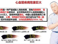 理财产说会主讲权益先行回馈C账户国寿鑫耀相伴版46页.pptx