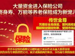 富德生命传世金尊终身寿险案例演示产品优势宣传片32页.pptx