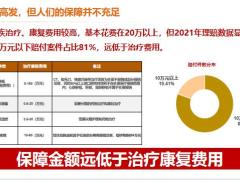 储备重疾备用金的三种方式意义处理17页.pptx