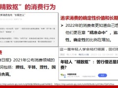 精致抠的困境保险让精致抠更精致17页.pptx