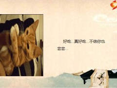 每日快乐早会23年1月3日使用12页.pptx