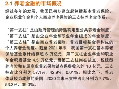 保险机构养老金融竞争策略研究报告48页.pdf