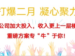 2023年开门红2月阶段营销业务推动方案20页.pptx