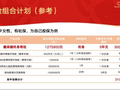 新华鑫荣耀终身寿险目标市场画像常见问答21页.pptx