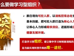 保险公司学习型组织项目实施训练总结规划实施管控24页.pptx