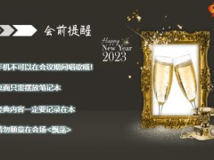2023兔年早会流程烟花版10页.pptx