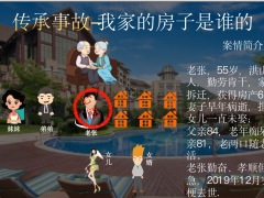 民法典时代下的资产传承规划案例财富暗门解决方案28页.pptx