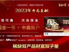 太平国金一号案例演示保单权益万能账户六项权益价值三个建议29页.pptx