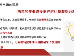 保险绩优分享投资偏好分类促年金分析客户投资偏好分类目标24页.pptx